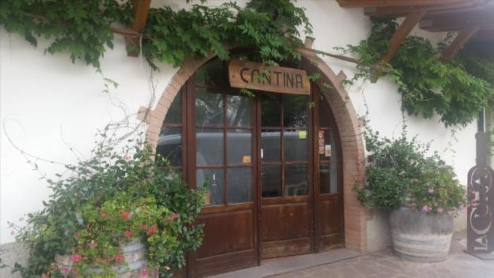 Cantina La Cura